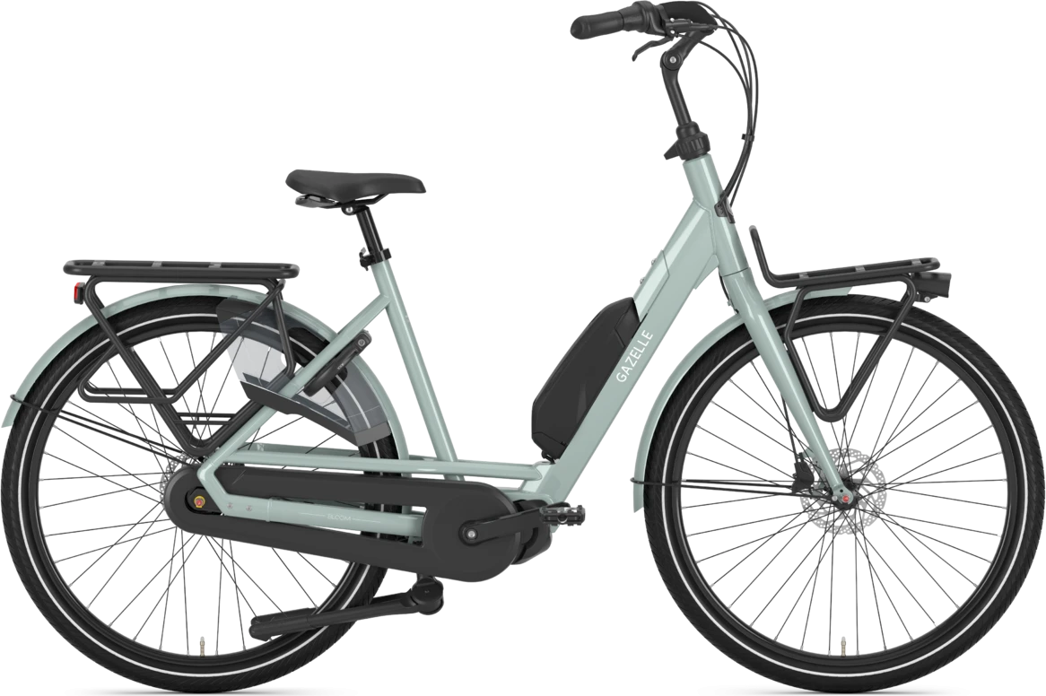 Gazelle Bloom C7 HMS 2023 1 Gazelle Bloom C7 HMS 2023