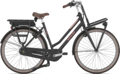 Gazelle Miss Grace C7 HMB 2023