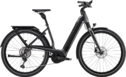 Cannondale Mavaro Neo 2 2022