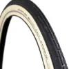 Schwalbe Fat Frank Vouw Buitenband Stadsfiets