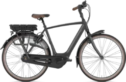 Gazelle Orange C8 HMB 2023