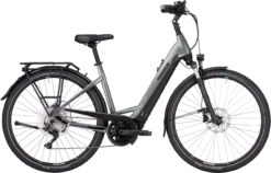 Pegasus Premio EVO 10 Lite