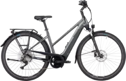 Pegasus Premio EVO 10 Lite 5 Pegasus Premio EVO 10 Lite -BONTRAGER pegasus premio evo 10 grijs trapeze