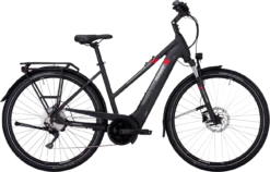 Pegasus Premio EVO 10 5 Pegasus Premio EVO 10 -BONTRAGER pegasus premio evo 10 zwart trapeze