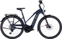 Pegasus Premio EVO 11 "40 Years" -BONTRAGER pegasus premo evo 11 40 years zwart trapeze