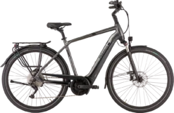 Pegasus Strong EVO 10