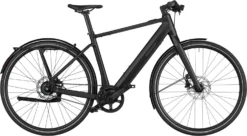 Riese & Müller UBN Five Silent 2023